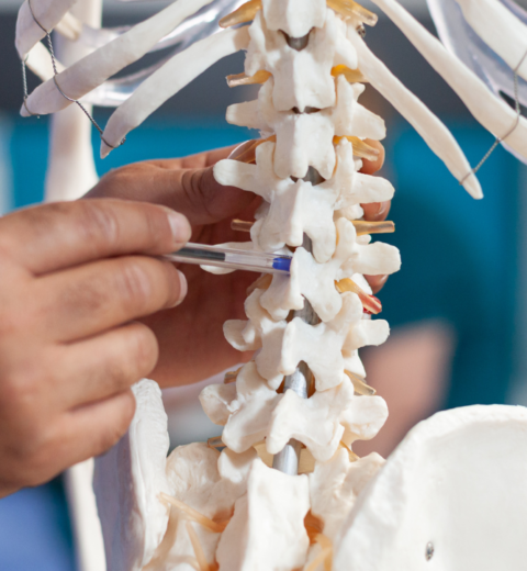 Quais os exames laboratoriais para checar a saúde da tireóide?