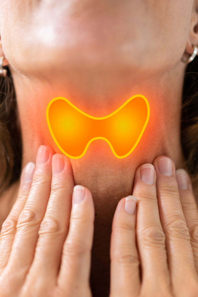 Quais os exames laboratoriais para checar a saúde da tireóide?