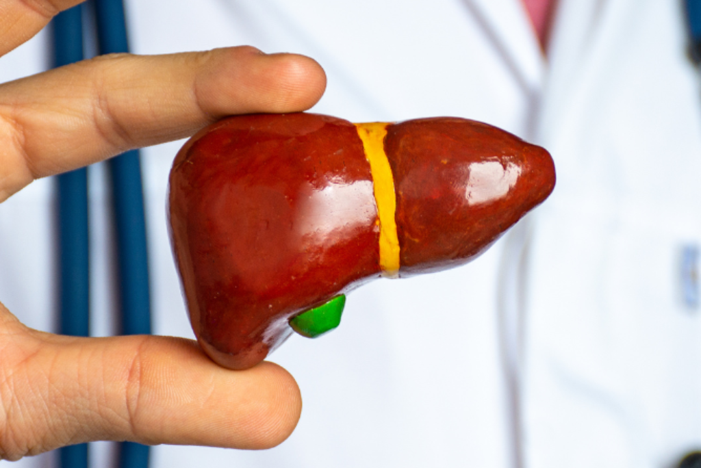 Quais os exames laboratoriais para monitorar a saúde do fígado?