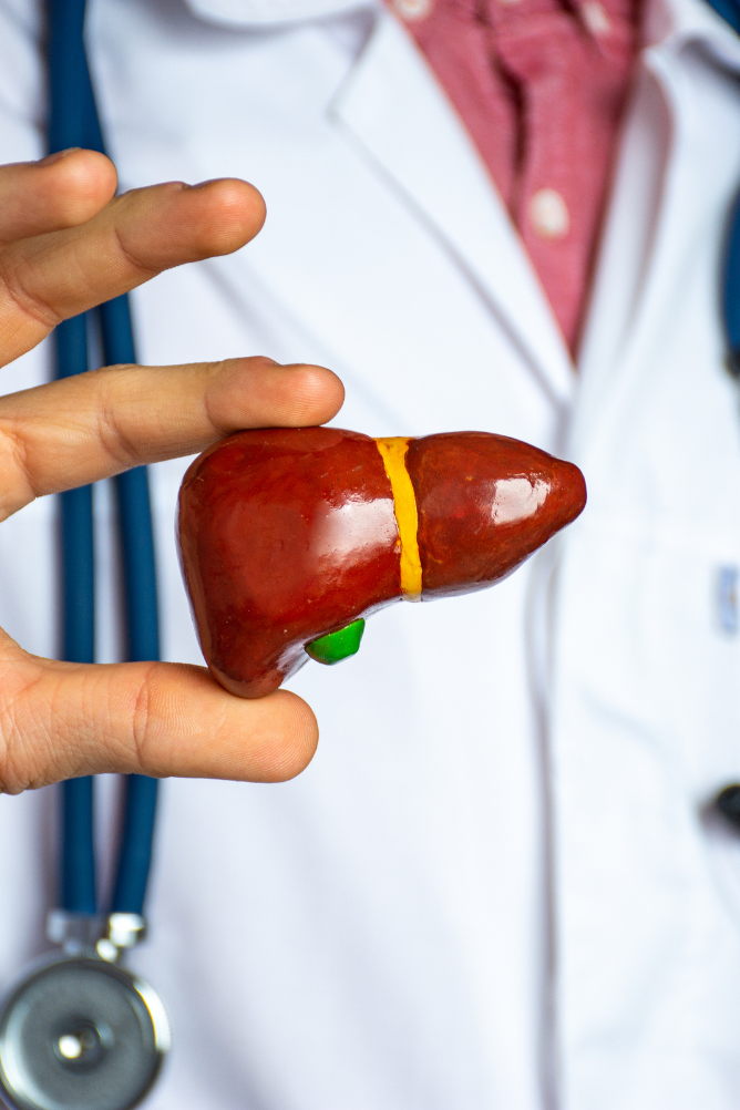 Quais os exames laboratoriais para monitorar a saúde do fígado?